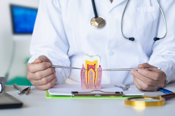Best Emergency Root Canal Treatment in Mentone, IN